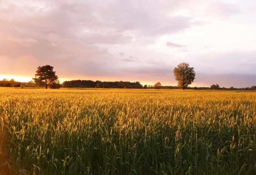 酒店 Gosciniec Pod Debem