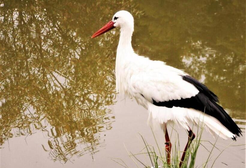 酒店 Gosciniec Pod Debem