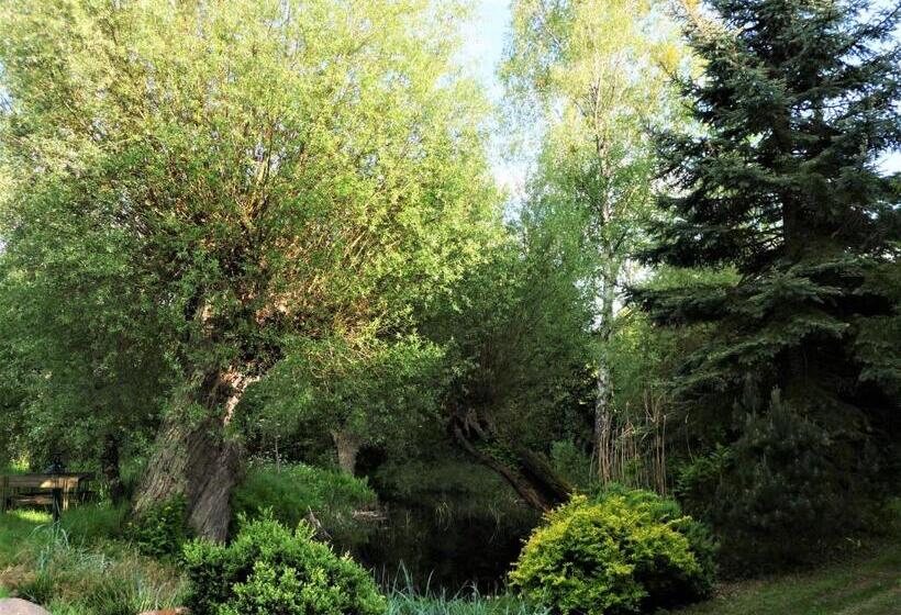 酒店 Gosciniec Pod Debem