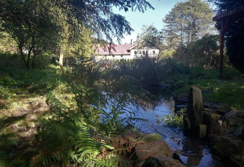 Пансион Dom Gościnny Tatra Nova