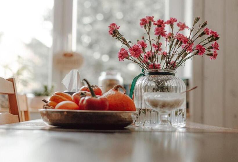 Пансион Dom Gościnny Tatra Nova