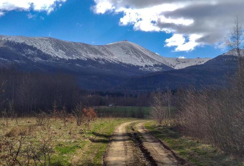 بنسيون Koniczynka