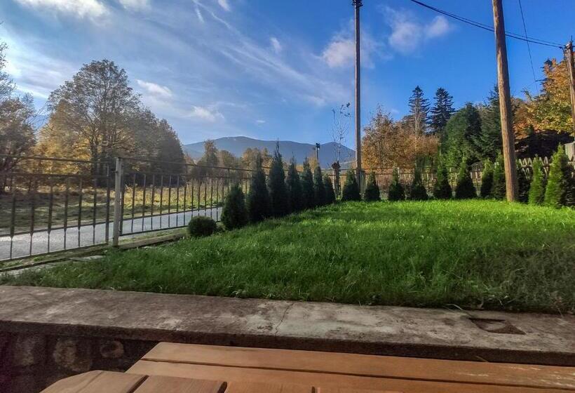 بنسيون Koniczynka