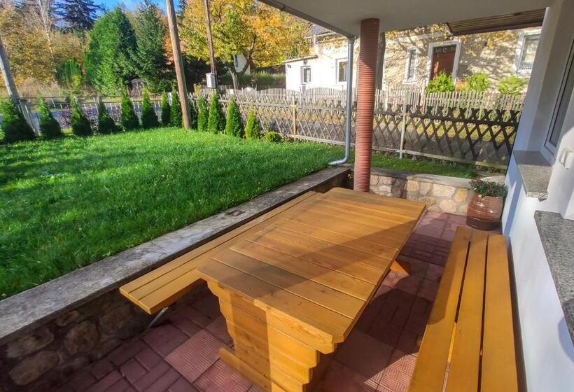 بنسيون Koniczynka