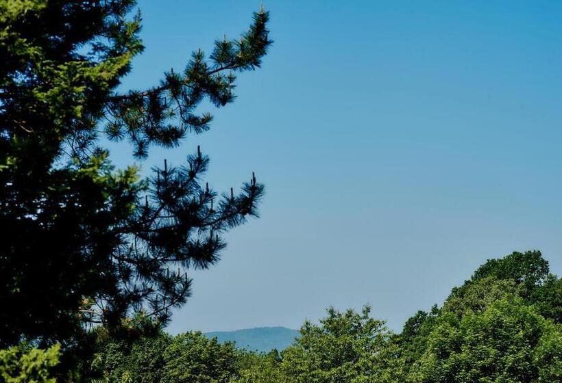 بنسيون Pokoje U Anny