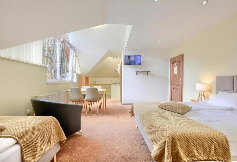 بنسيون Willa Teresa