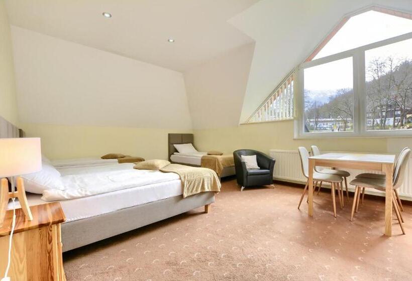 بنسيون Willa Teresa