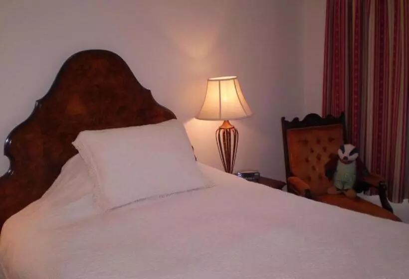 Aamiaismajoitus (B&B) Badger Towers