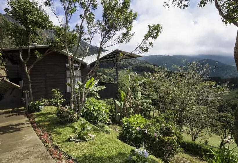 בית מלון כפרי Alto Palomo