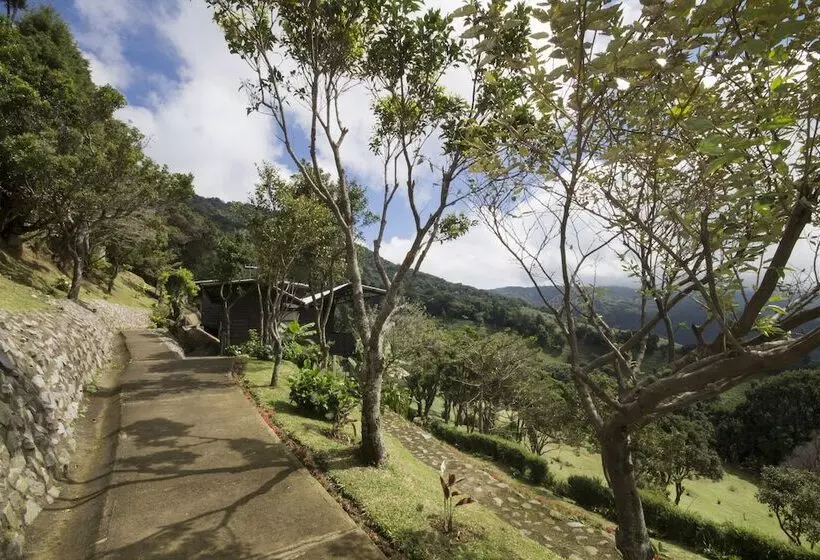 בית מלון כפרי Alto Palomo