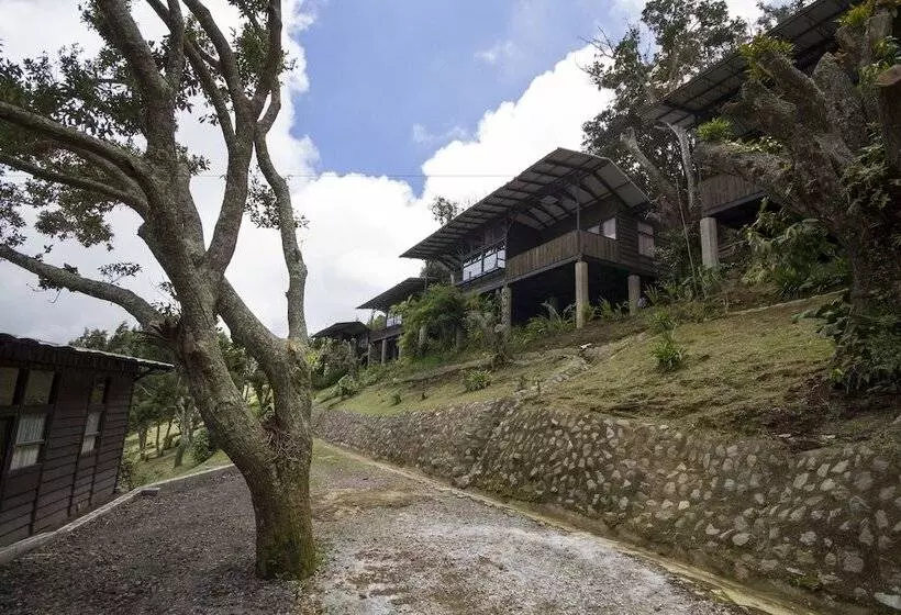 בית מלון כפרי Alto Palomo