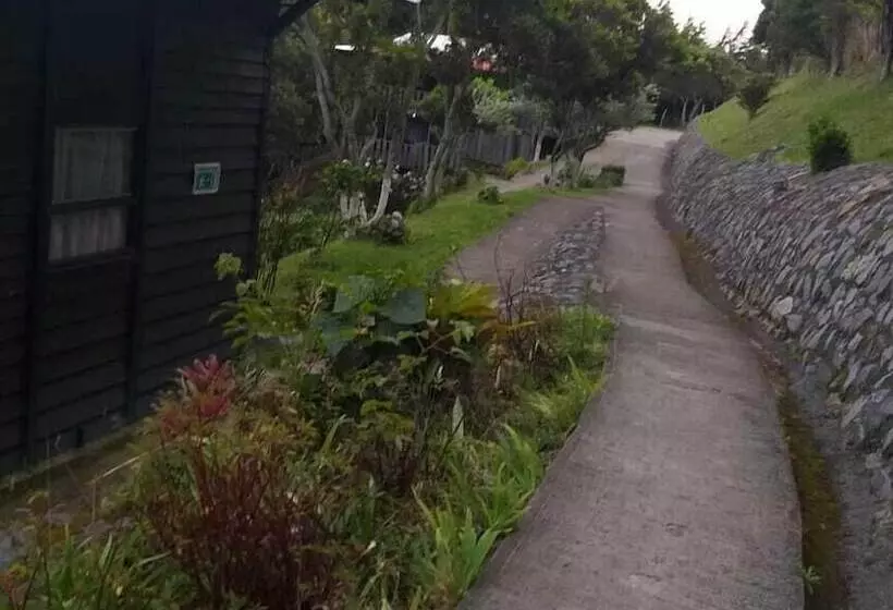 בית מלון כפרי Alto Palomo