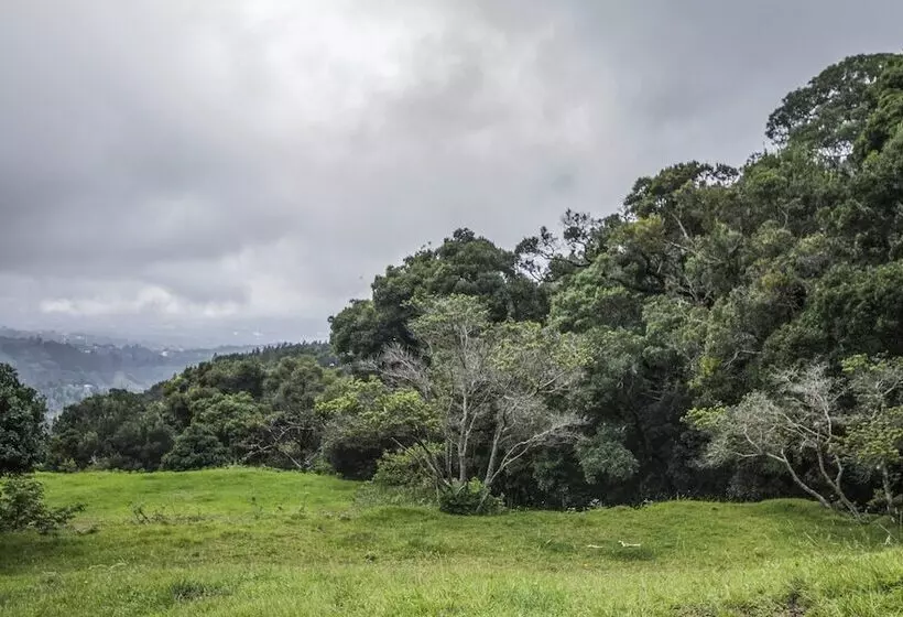 בית מלון כפרי Alto Palomo