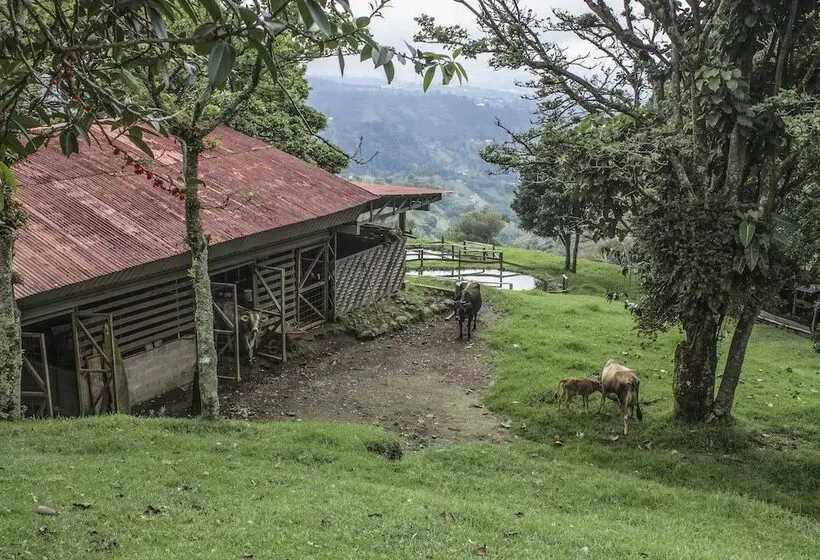 בית מלון כפרי Alto Palomo