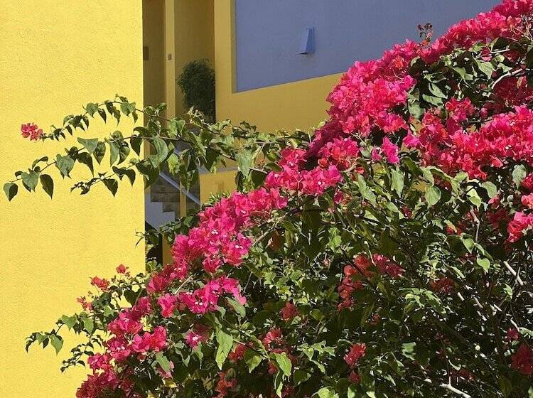 酒店 Buckingham Place