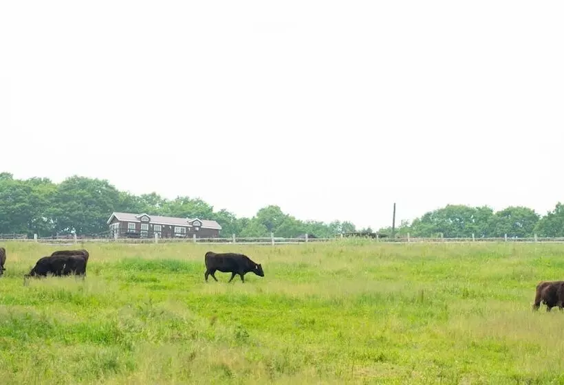 هتل Floracion Nasu