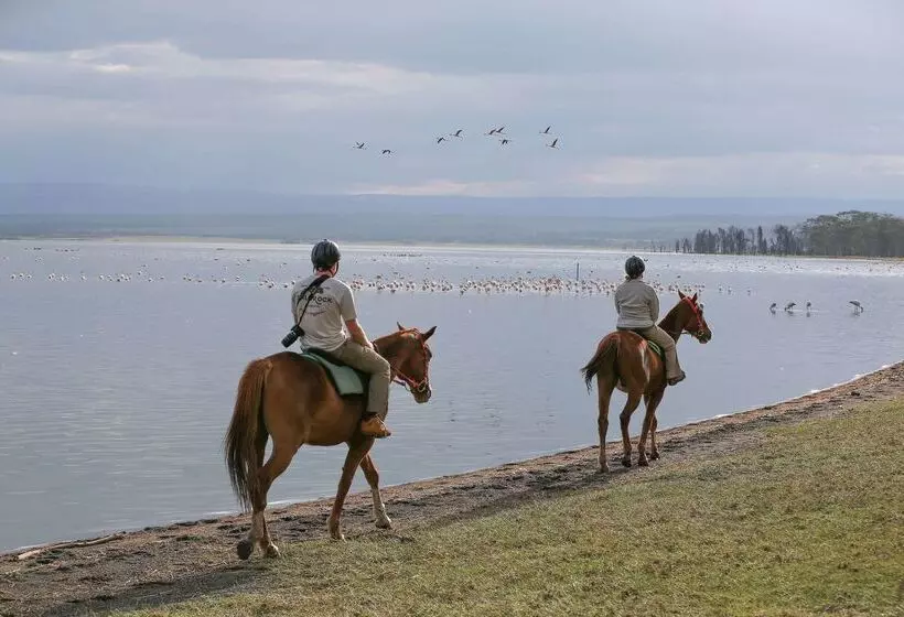 호텔 Lake Elmenteita Serena Camp