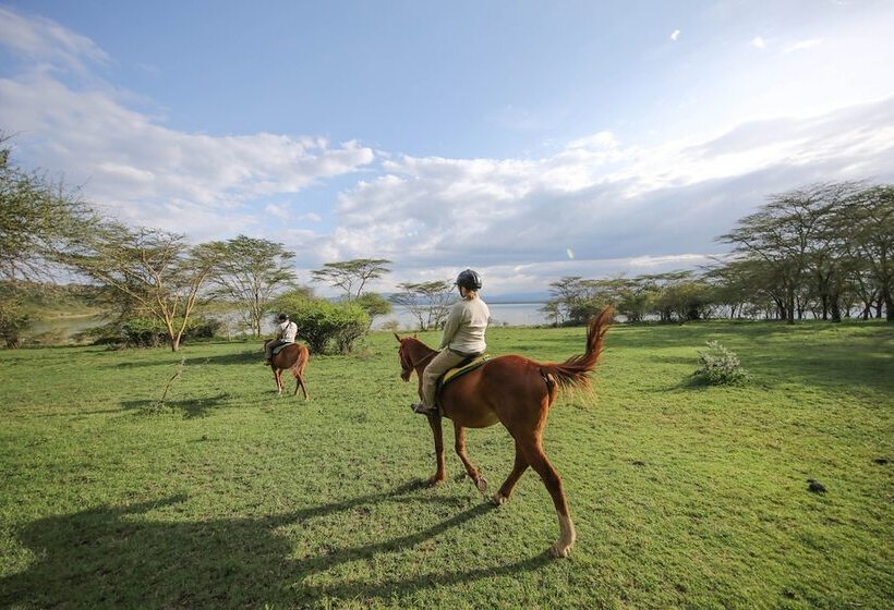 호텔 Lake Elmenteita Serena Camp