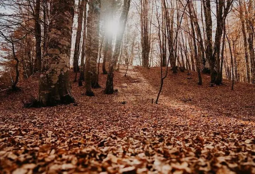 Praia Art Resort Small Luxury Hotels Of The World