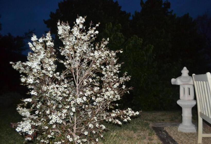 Mulberry Cottage Unique B&b Accommodation