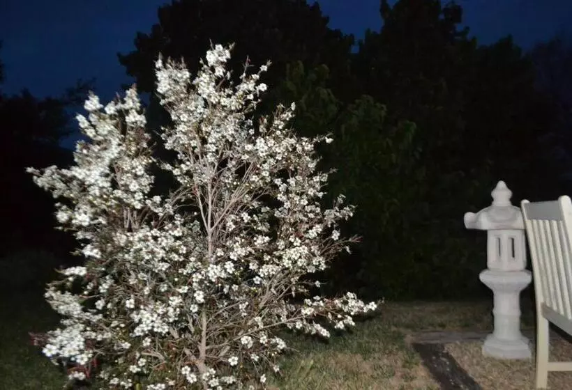 Mulberry Cottage Unique B&b Accommodation