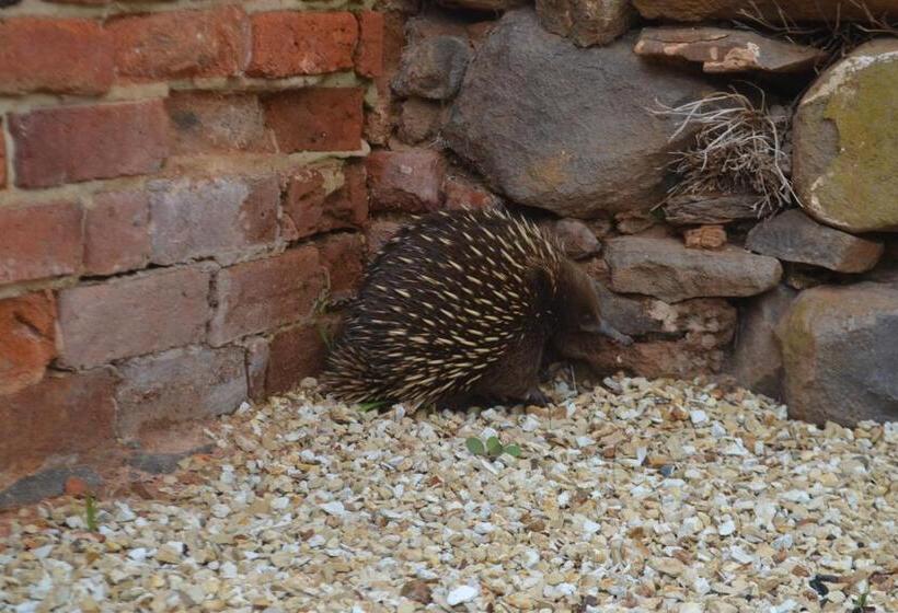 Mulberry Cottage Unique B&b Accommodation