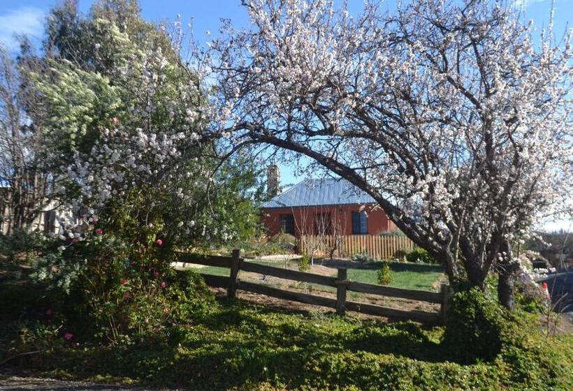 Mulberry Cottage Unique B&b Accommodation