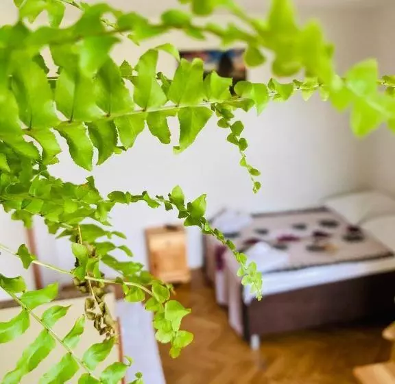 Aamiaismajoitus (B&B) Na Kamieńcu