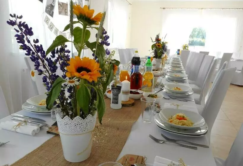 Aamiaismajoitus (B&B) Przystanek Czapla