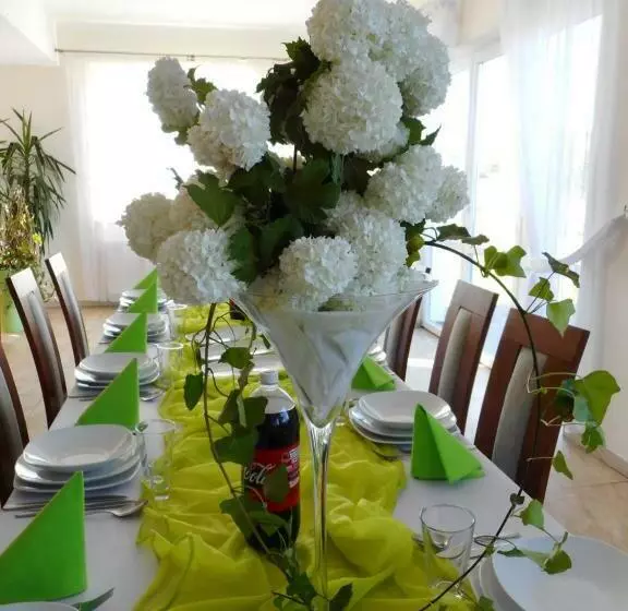 Aamiaismajoitus (B&B) Przystanek Czapla