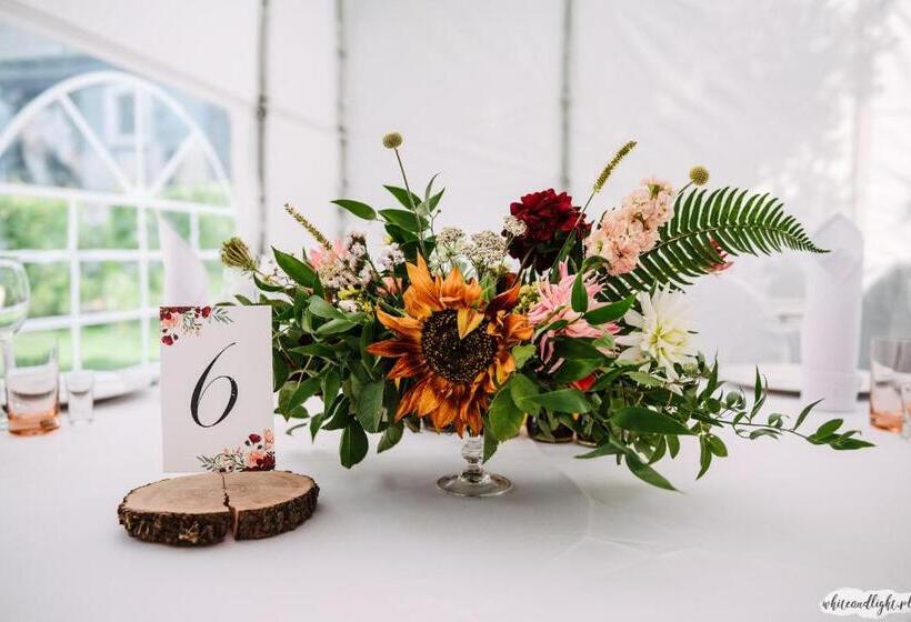 צימר Salon Win Wine Bar & Apartments