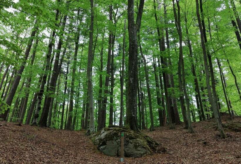 צימר Villa Holma  Agroturystyka