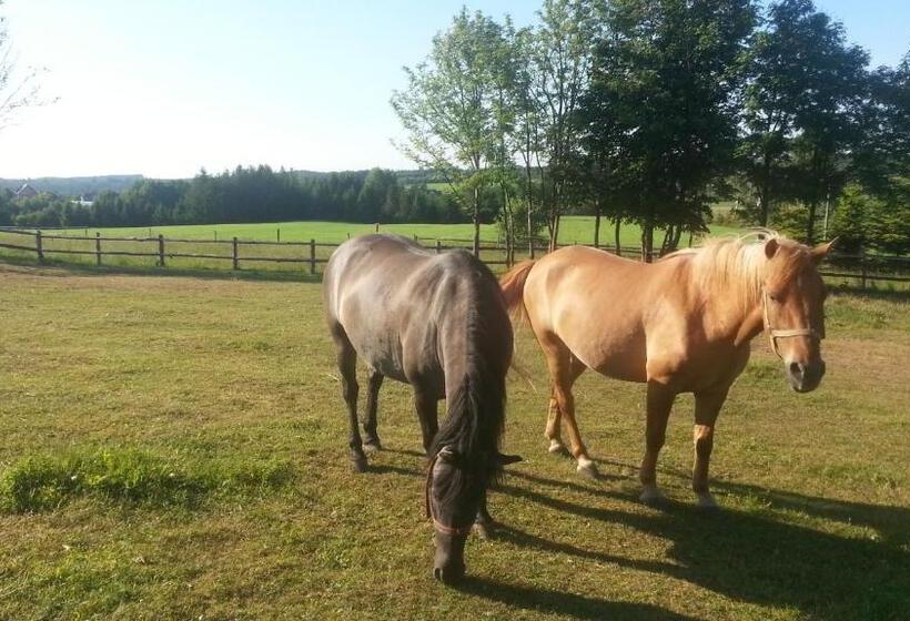 צימר Villa Holma  Agroturystyka