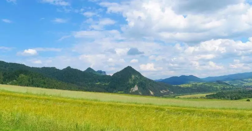 ホテル Agroturystyka Chmiel