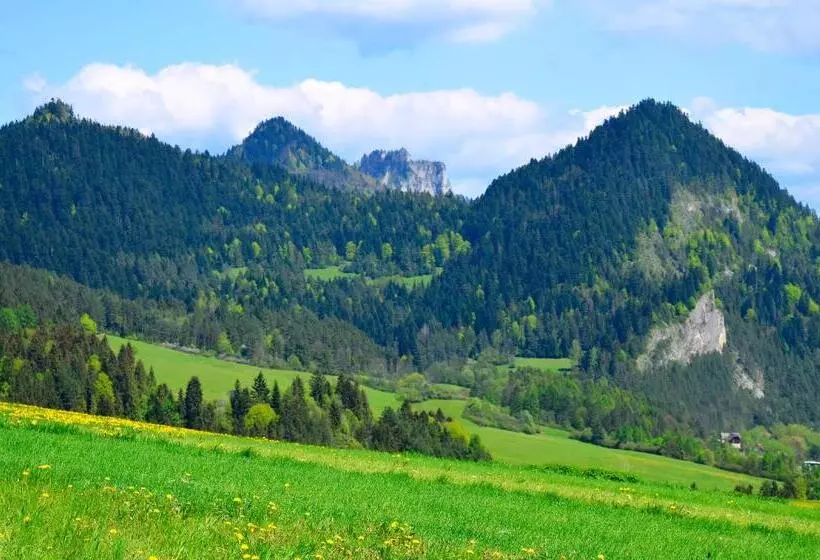 ホテル Agroturystyka Chmiel