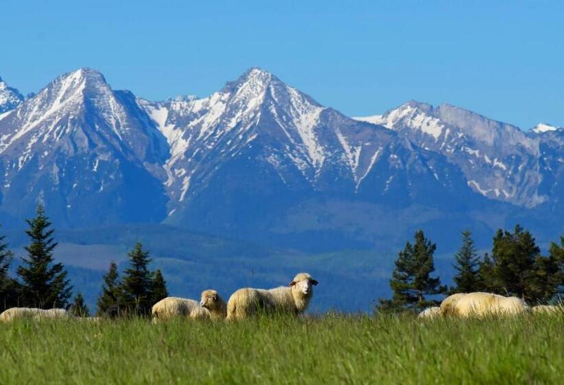 호텔 Agroturystyka Chmiel