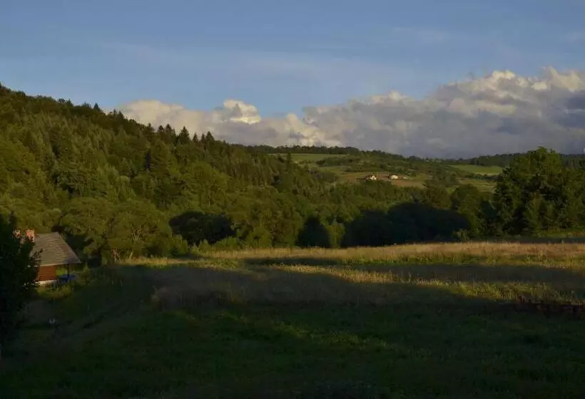 ホテル Agroturystyka Wilkowyja