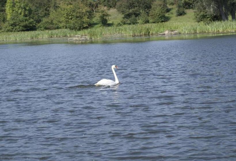 Отель Bajanówka