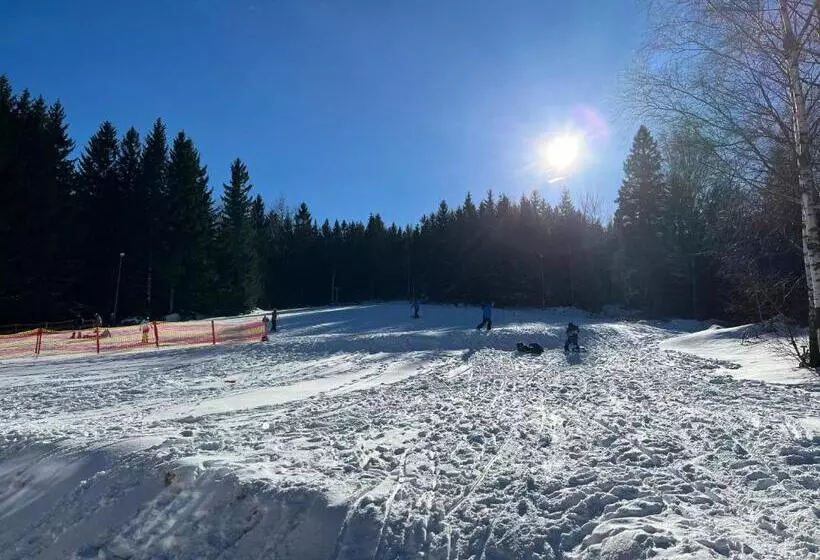 Hotelli Seidorf W Sosnówce Koło Karpacza