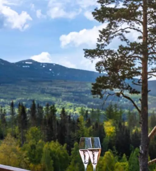 Hotelli Seidorf W Sosnówce Koło Karpacza