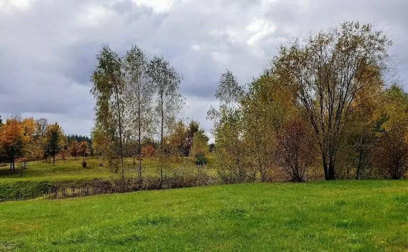 Motelli Park Inn Resort