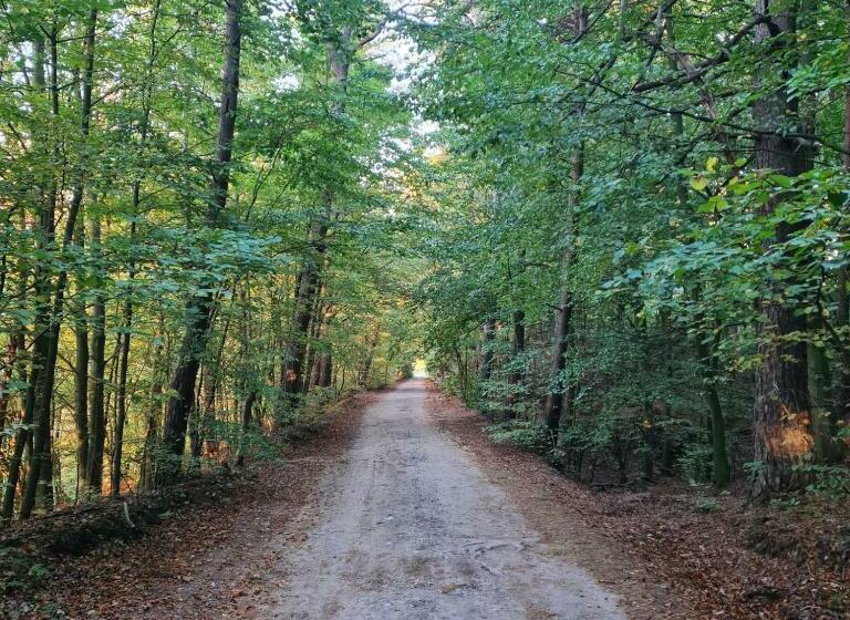 بنسيون Dom Na Wczasowej Kaszuby Z Balią Z Jacuzzi I Sauną