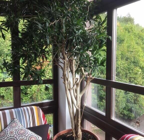 리조트 Centrum Turystyki Niekonwencjonalnej