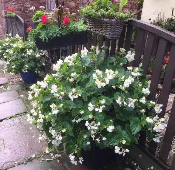 Lomakeskus Centrum Turystyki Niekonwencjonalnej