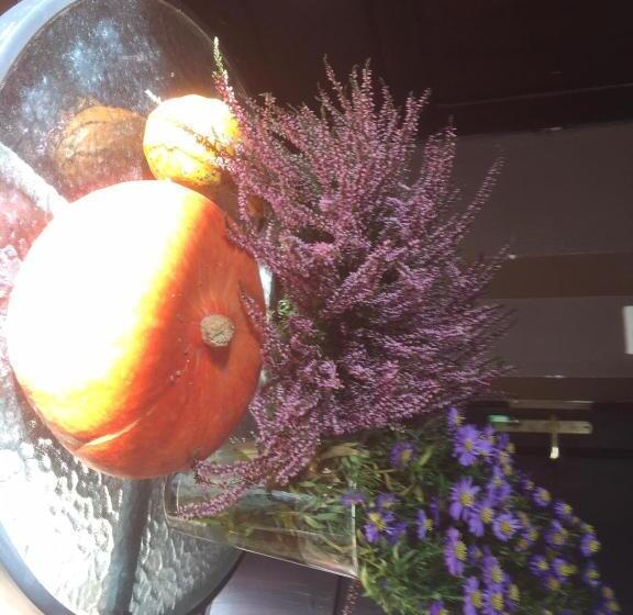 리조트 Centrum Turystyki Niekonwencjonalnej