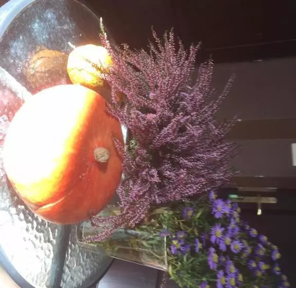 Lomakeskus Centrum Turystyki Niekonwencjonalnej