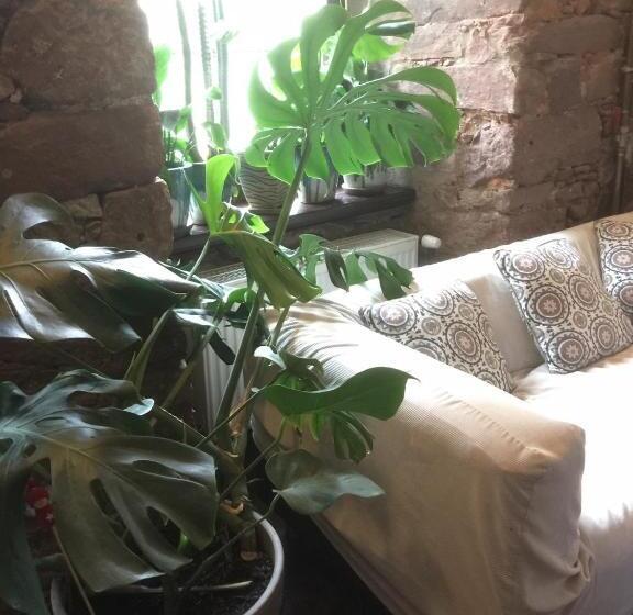 리조트 Centrum Turystyki Niekonwencjonalnej