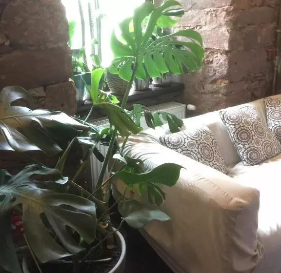 Lomakeskus Centrum Turystyki Niekonwencjonalnej