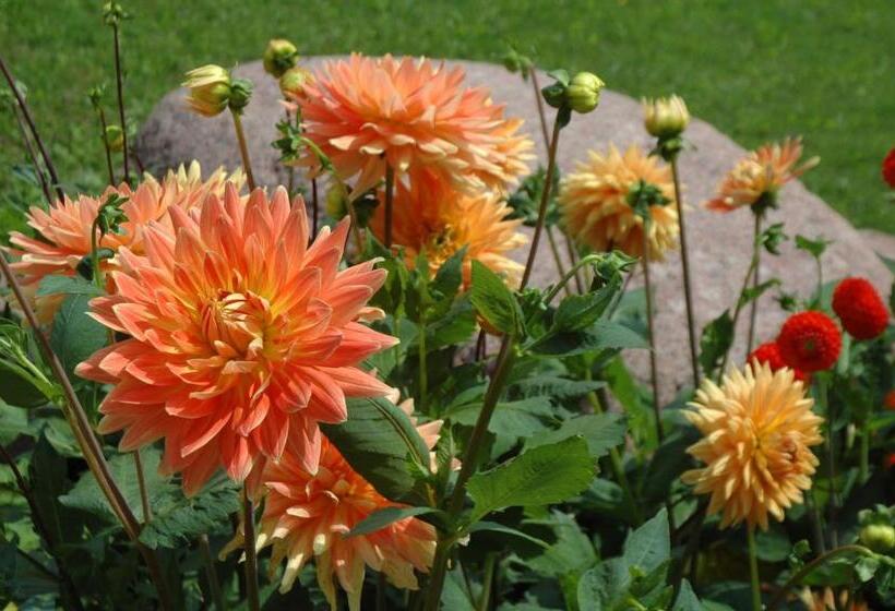 リゾートホテル Majątek Giże Marczak