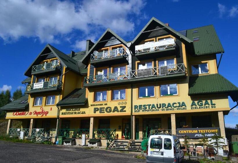 リゾートホテル Ośrodek Pegaz